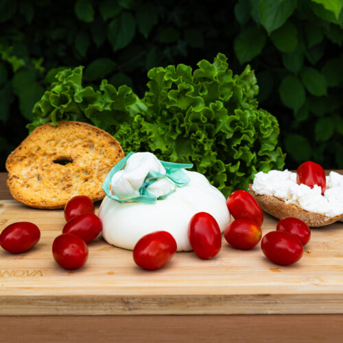 495A1515 burrata e stracciata